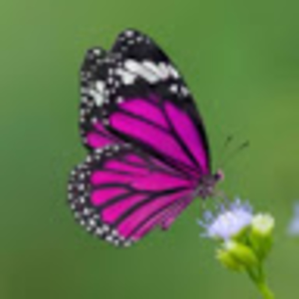 Meet your Posher, Kristina